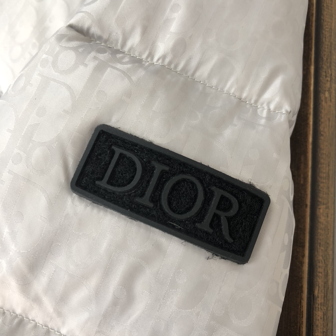 Christian Dior Down Jackets